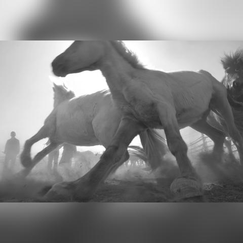 福建雄风3怎么样