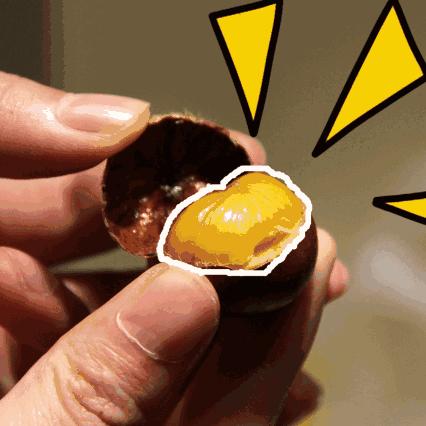 天津麻将和哪个