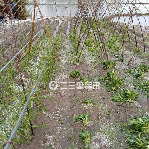 什么查广西雷达回波图