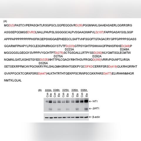 温州市哪里有水切割