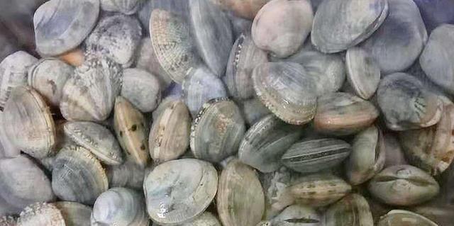 英雄联盟花甲怎么打开(你见过最风流的一句诗词是什么)