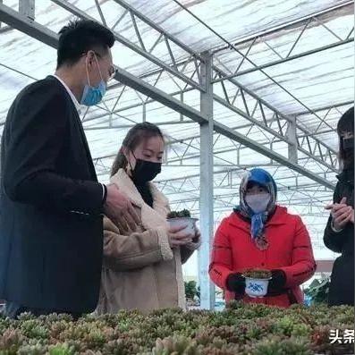 兰州榆中花卉批发市场的相关长尾关键词有哪些