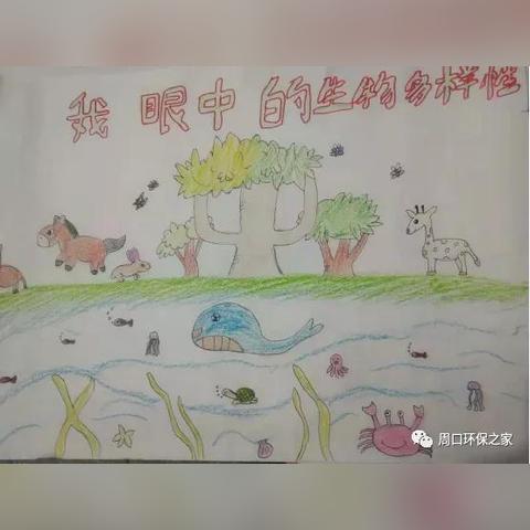 周口市实验中学附近楼盘的长尾关键词有哪些