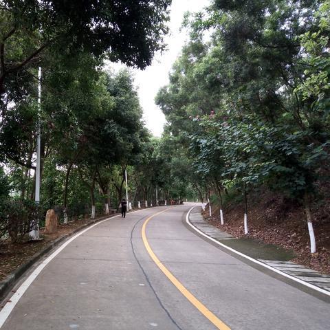 广东东莞市有哪些山