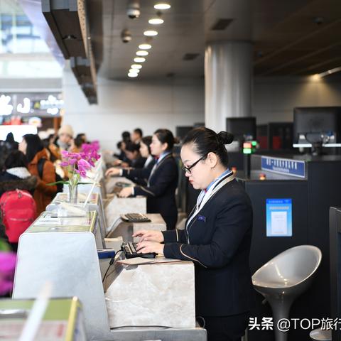 桂林市怎么办理宠物托运