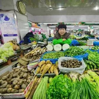 【长沙今日菜价】2025年7月4日长沙菜价是多少