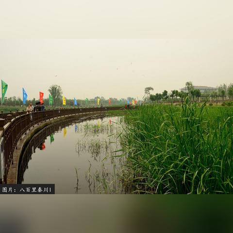 西安62中学升学率高吗？