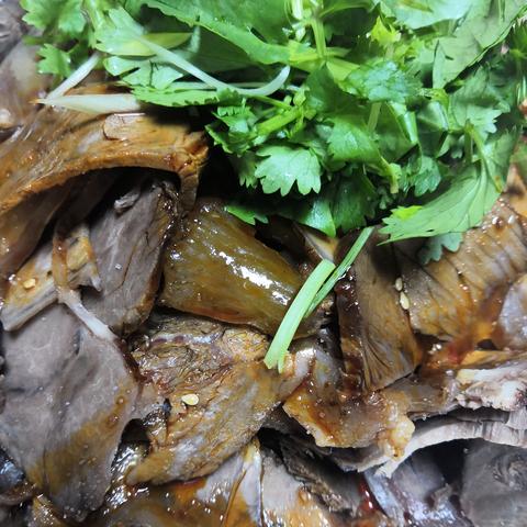 兰州市哪里有学生假期