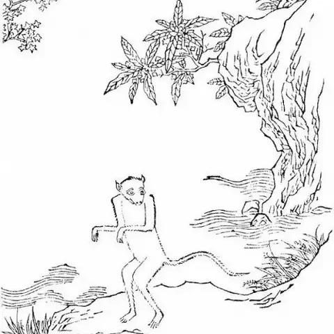 深圳酒南山相关长尾关键词有哪些