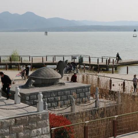 合肥春风里楼盘价格？