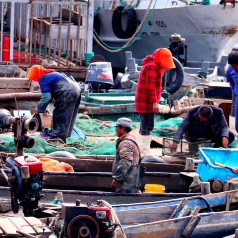 河南哪个城市靠海边近