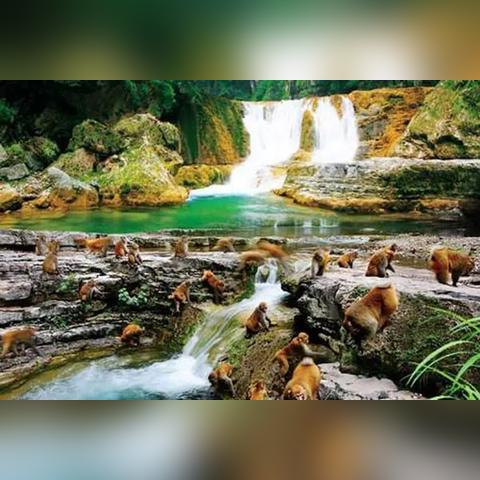 桂林科目二新考场的相关长尾关键词有哪些