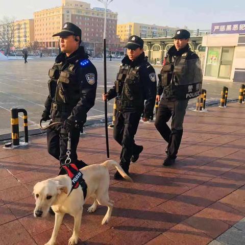 哈尔滨东站电话号码相关长尾关键词有哪些