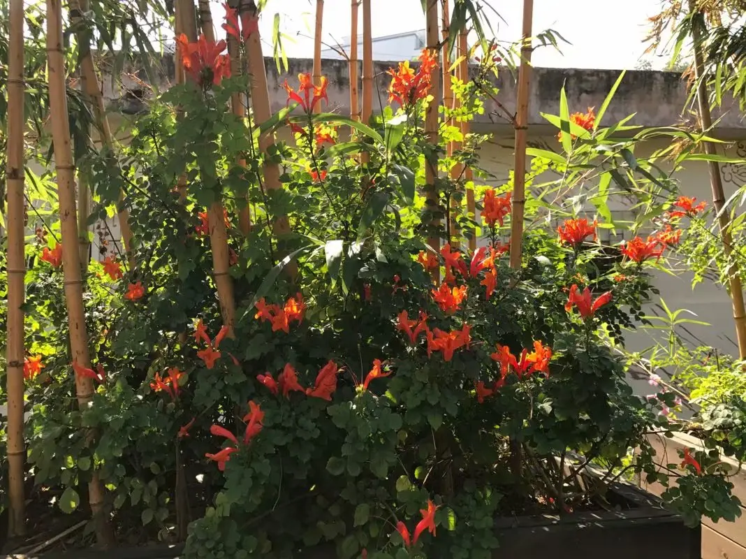 趣头条赚钱安全靠谱吗 惠头条赚钱安全靠谱吗