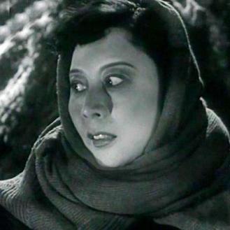 长春市哪里卖花最便宜