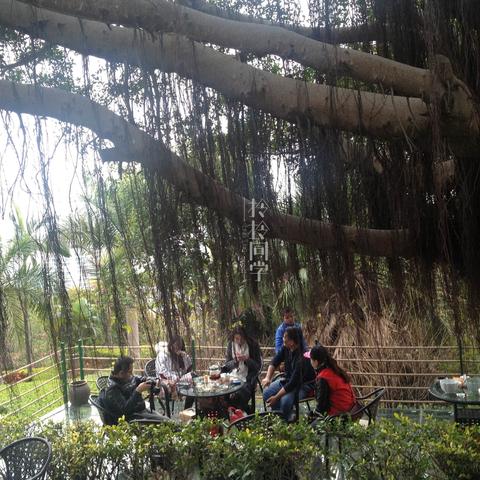 厦门茶歇的相关长尾关键词有哪些