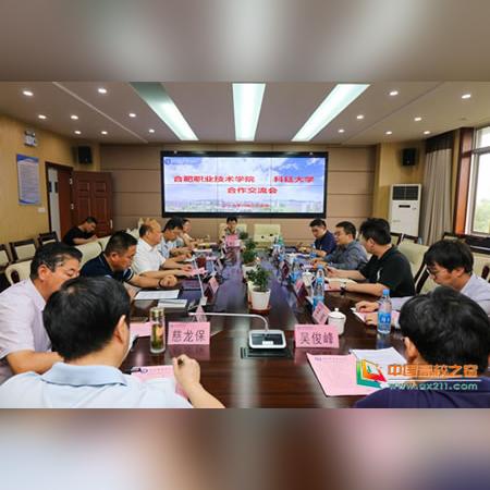 合肥专升本的机构有哪些？