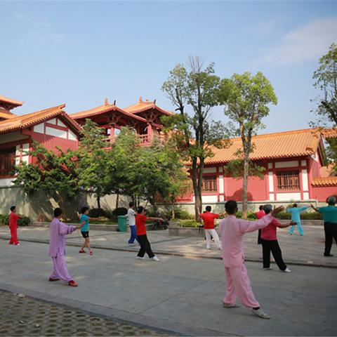 桂林市博物馆怎么进去参观
