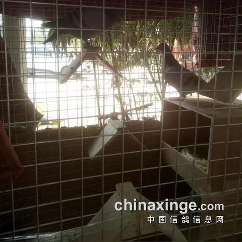 天津哪个郊区最强