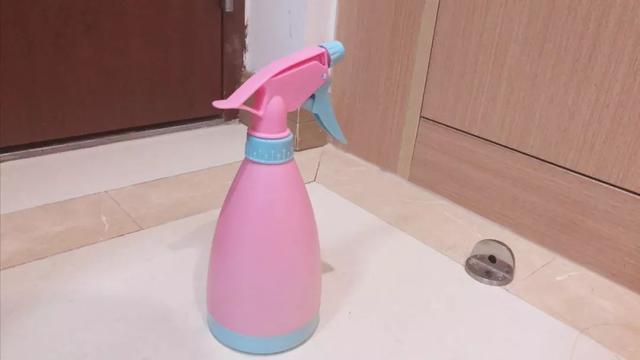 家里有宠物疫情期间如何消毒