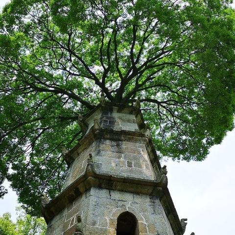 长沙市哪个板块好停车