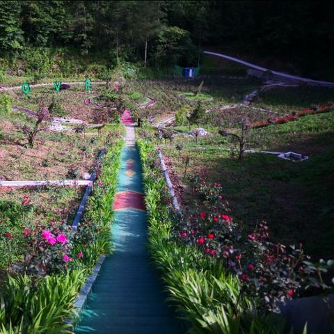 广元西安相关长尾关键词有哪些