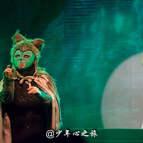 沈阳市和法国哪个面积大