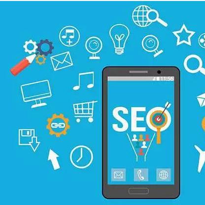 seo和域名怎么用