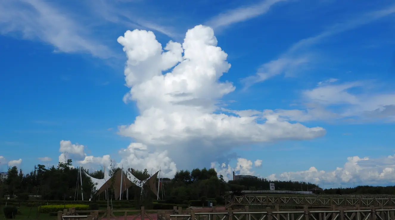 京东极速版红包变现技巧 快手极速版怎么屏蔽京东