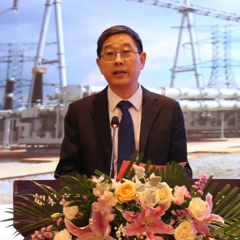 思源电气：民营电气领跑者
