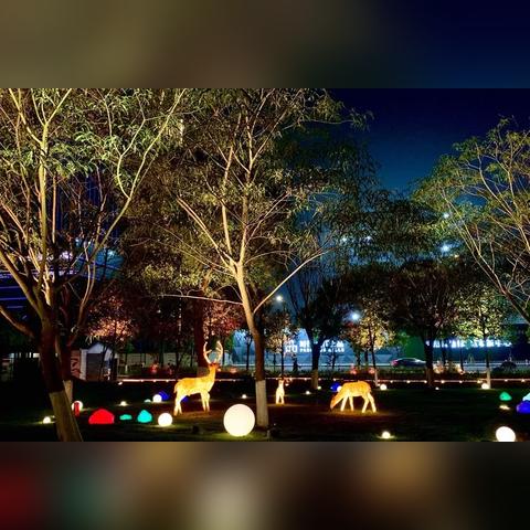 温州市的夜市在哪里举行