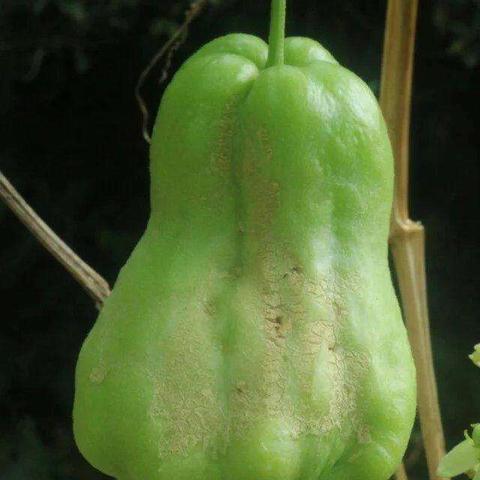 无锡市哪里有早市