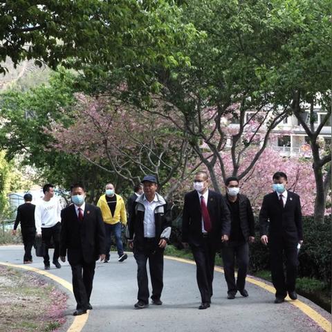 东莞市茶山二手机的长尾关键词有哪些