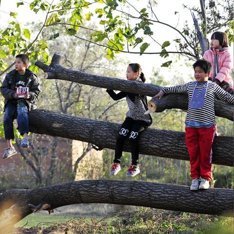 河南朝阳怎么样