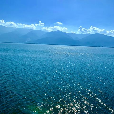 昆明市距大理多少公里