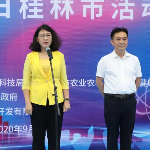 桂林有哪几个区？