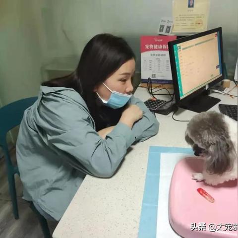 东莞市个人开发票在哪里开