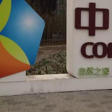 南宁大宗爆雷的相关长尾关键词有哪些