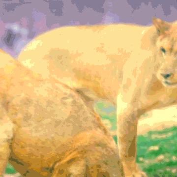 邯郸市安安物业的长尾关键词有哪些