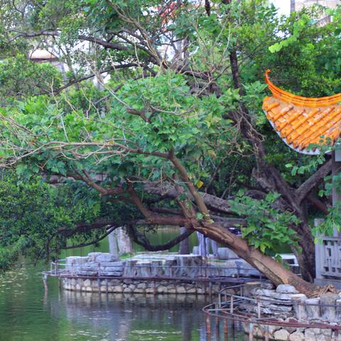 南宁 人民公园的相关长尾关键词有哪些