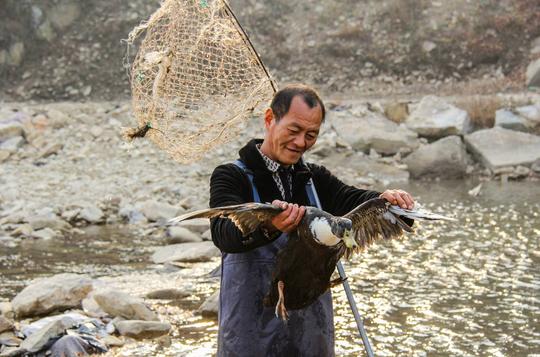 王承德：5年前捡到140斤太岁，躺赚300万，钱都花哪儿了？