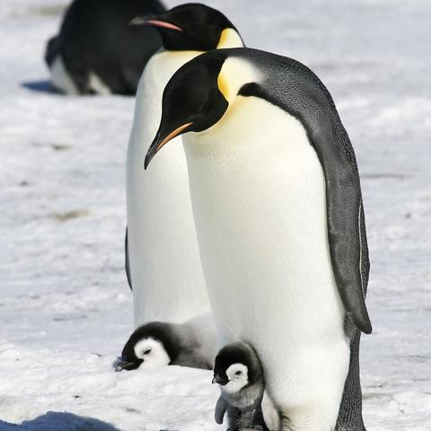 空气温度怎么测量