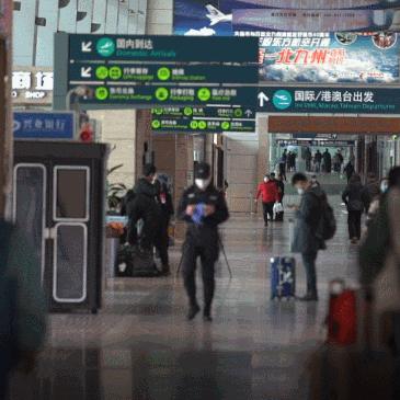 大连市现在有什么花开了