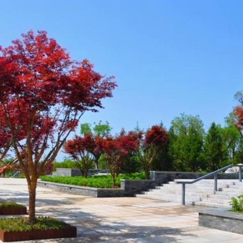 长沙市哪个公园对外开放