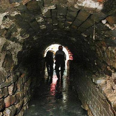 赣州市固板厂的长尾关键词有哪些