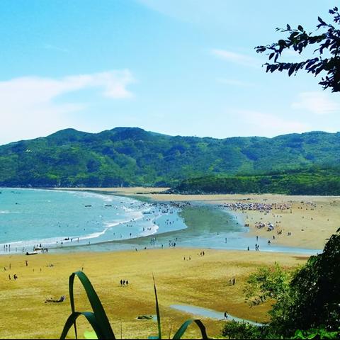 温州市自然岛在哪里