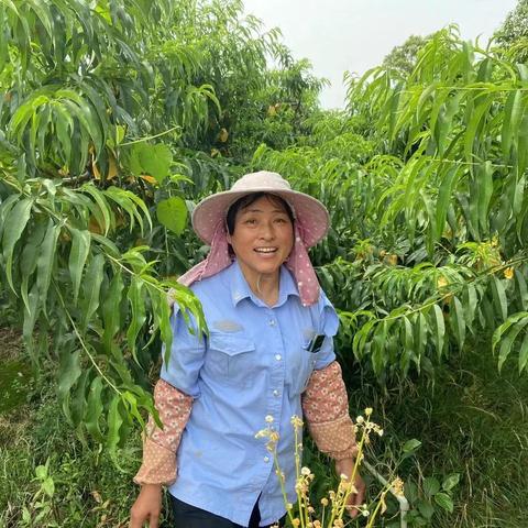 江苏省无锡市阳山水密桃的长尾关键词有什么