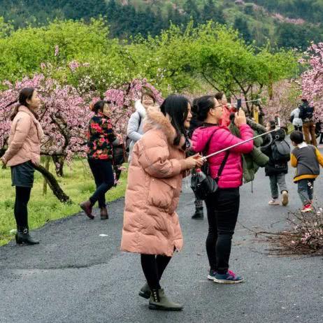 桂林三花价格相关长尾关键词有哪些