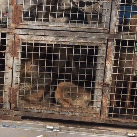 河南增值税发票真伪查询系统的相关长尾关键词有哪些