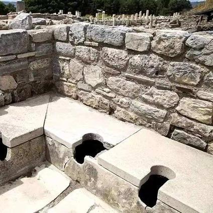 如厕是什么意思